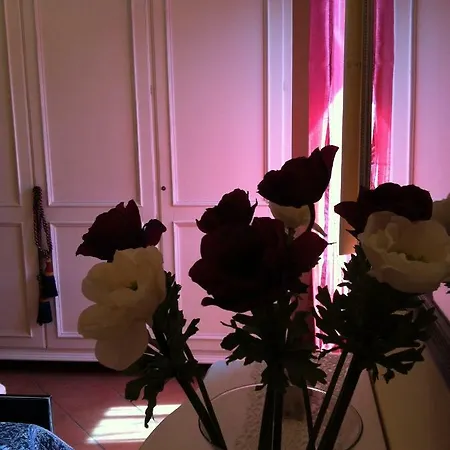A Casa Di Rosa Lejlighed *